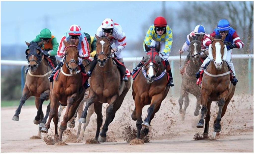 Horse Racing Horse Racing