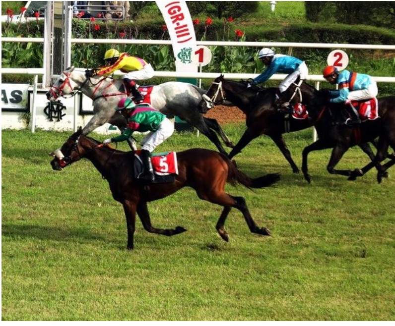 Horse racing Horse racing