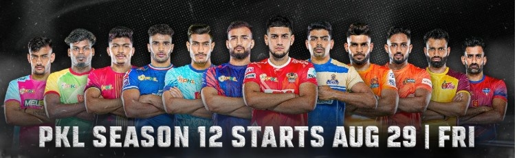 Pro Kabaddi League Overview
