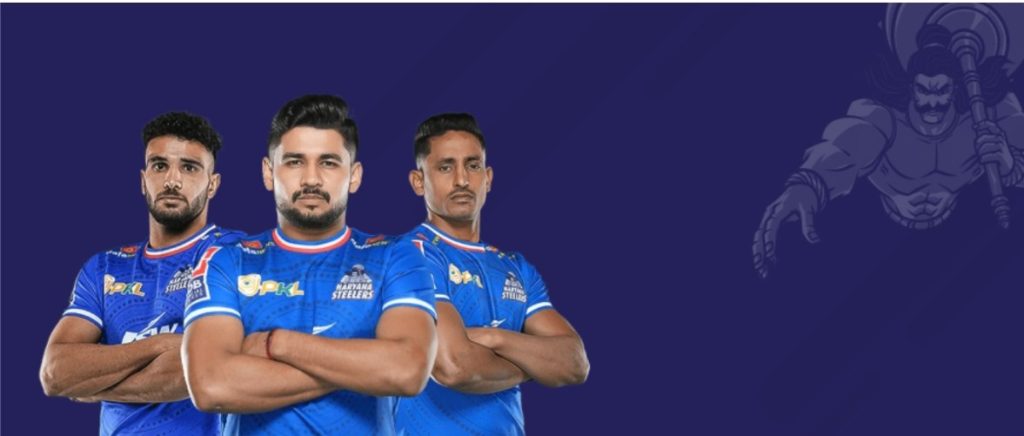 Haryana Steelers Team players