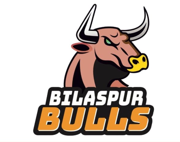 Bilaspur Bulls Squad Bilaspur Bulls Squad